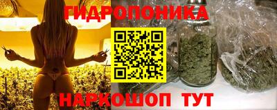прущие крисы Мариинск