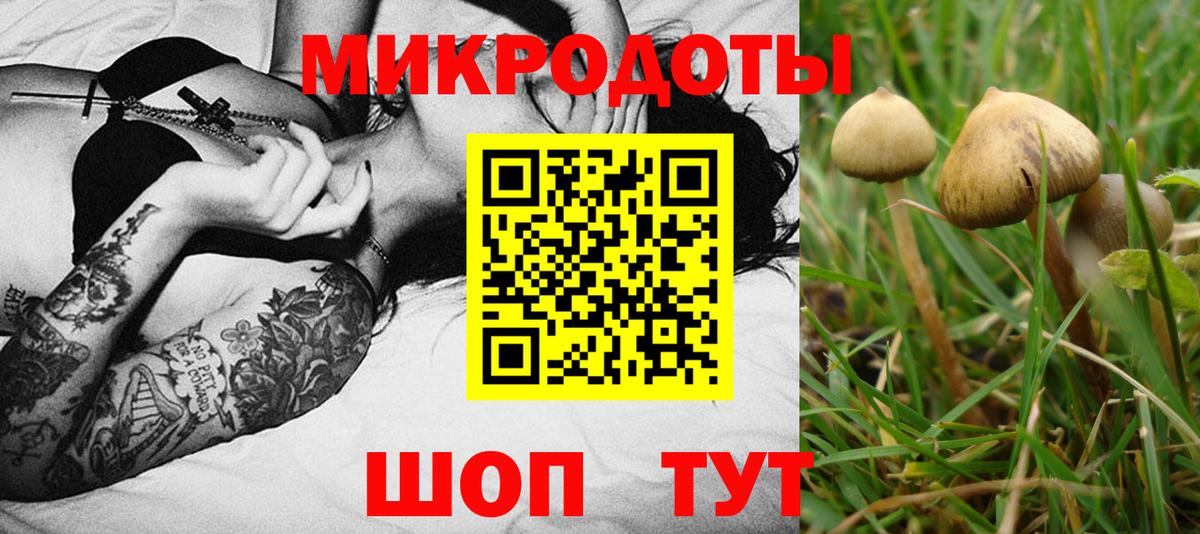 Галлюциногенные грибы мухоморы Тосно