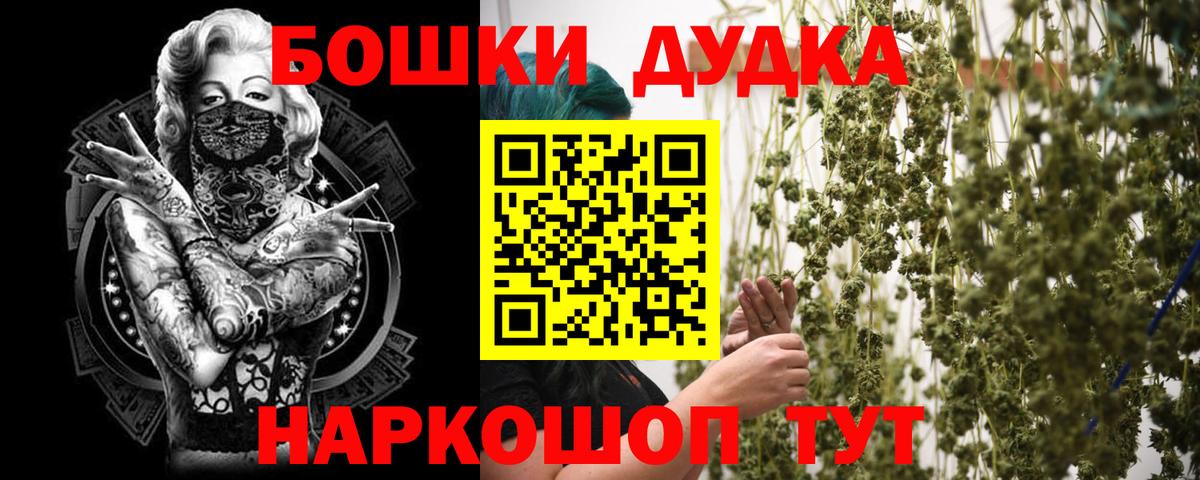 Конопля сатива Тосно